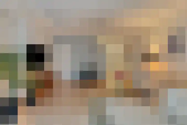 Anton Philipslaan 109 Eindhoven thumbnail 14
