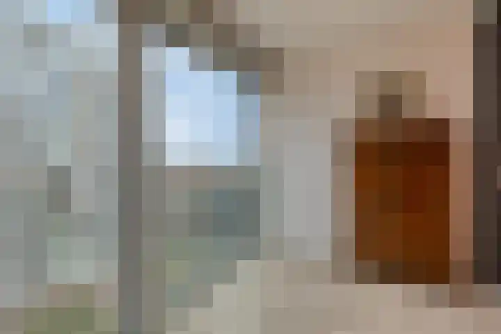 Anton Philipslaan 109 Eindhoven thumbnail 16