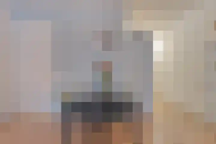 Anton Philipslaan 109 Eindhoven thumbnail 17