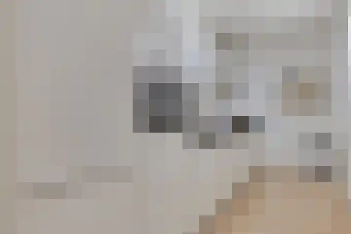 Anton Philipslaan 109 Eindhoven thumbnail 18