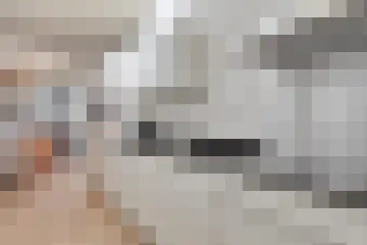 Anton Philipslaan 109 Eindhoven thumbnail 19