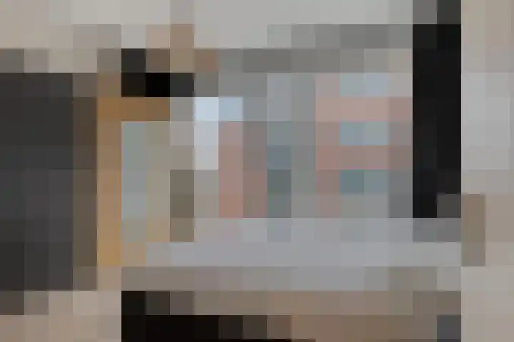 Anton Philipslaan 109 Eindhoven thumbnail 20