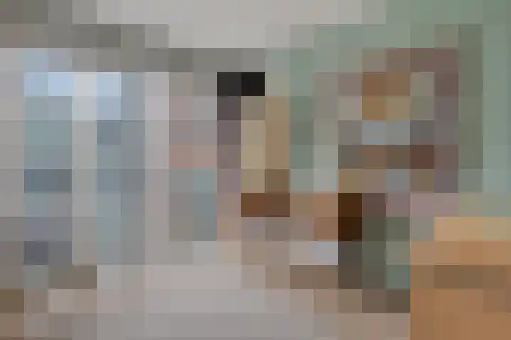 Anton Philipslaan 109 Eindhoven thumbnail 25