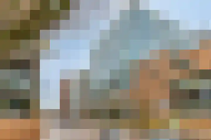 Anton Philipslaan 109 Eindhoven thumbnail 30