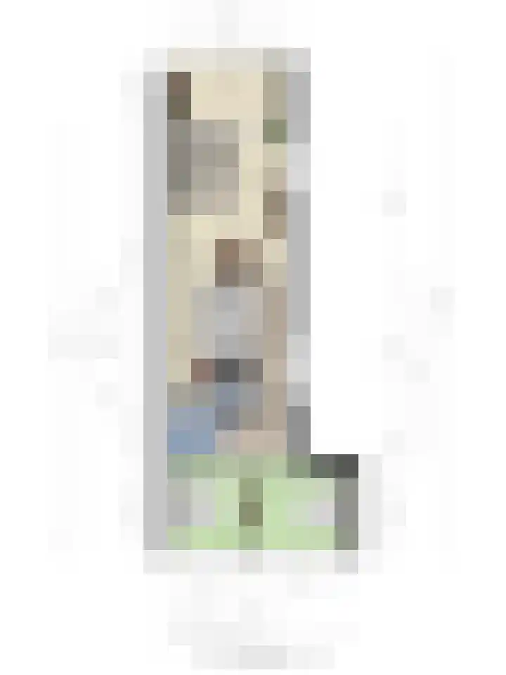 Anton Philipslaan 109 Eindhoven thumbnail 35