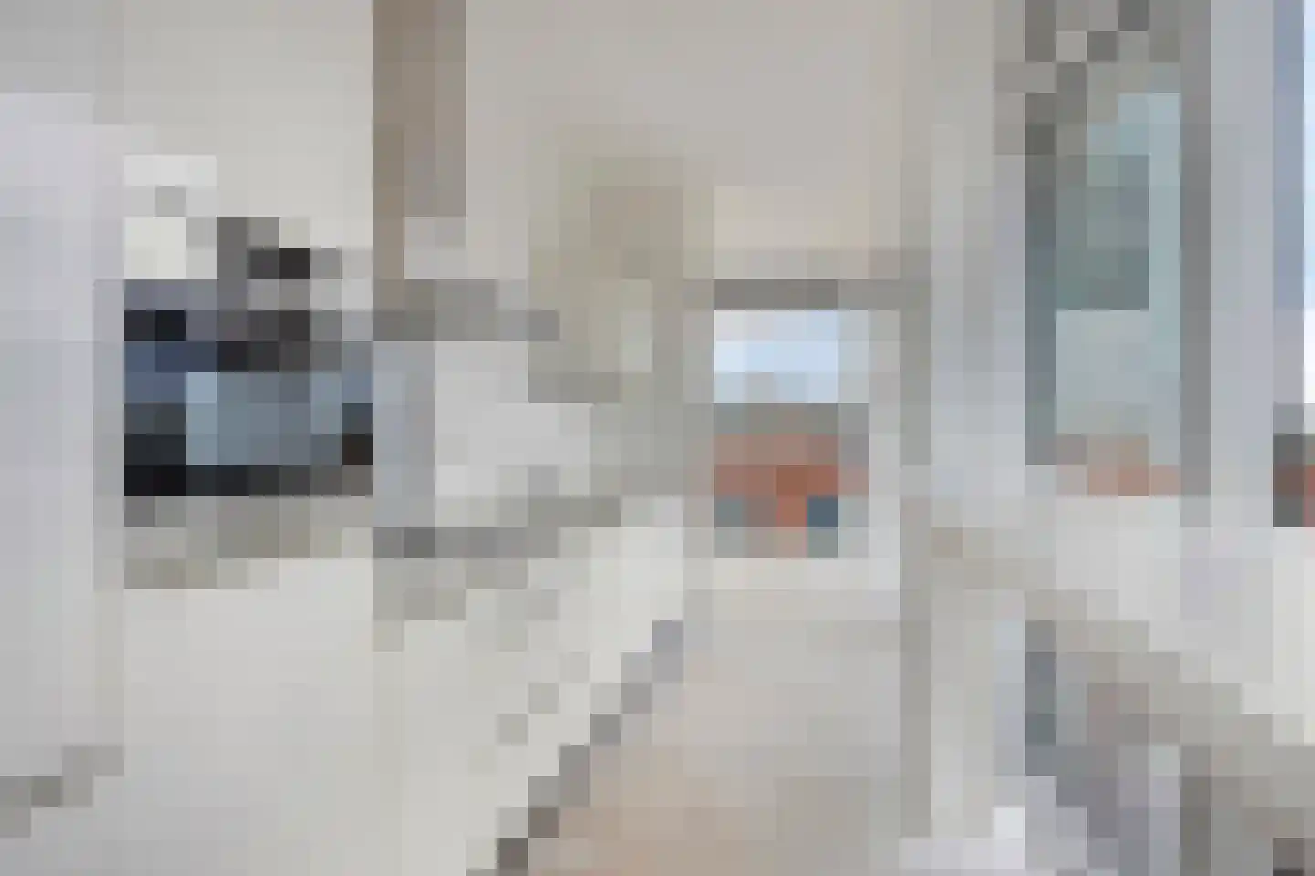 Anton Philipslaan 125 Eindhoven thumbnail 4