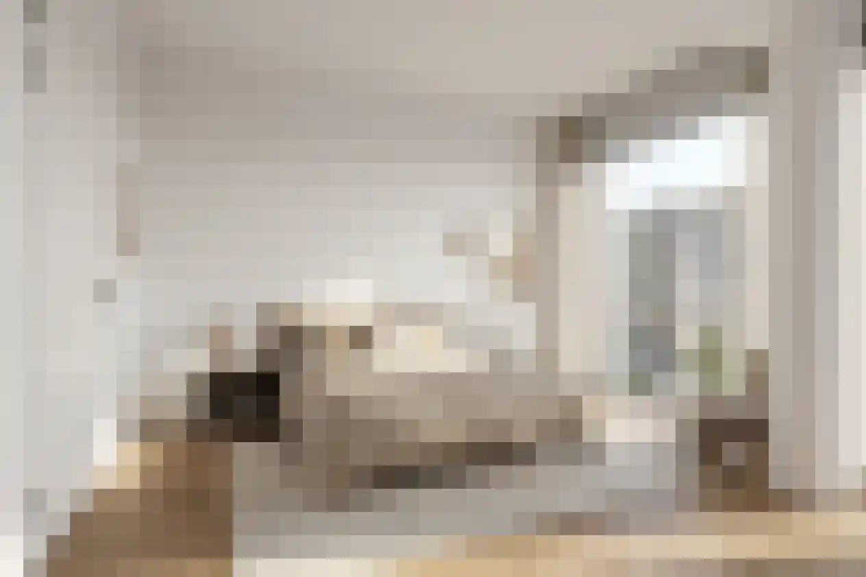 Anton Philipslaan 125 Eindhoven thumbnail 44