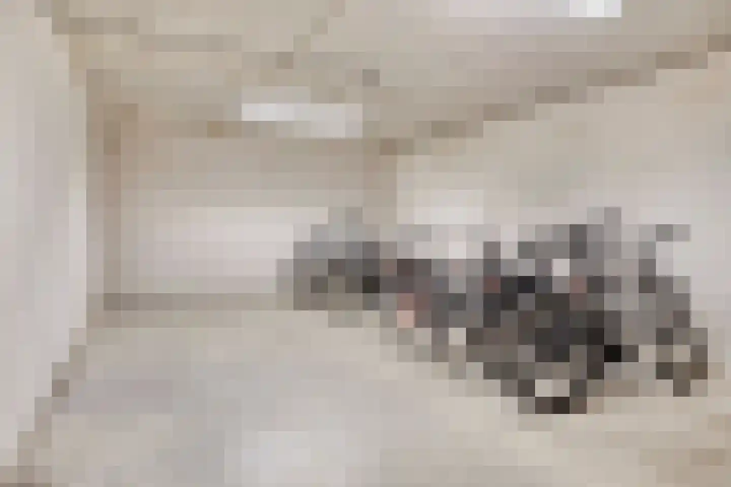Anton Philipslaan 125 Eindhoven thumbnail 61