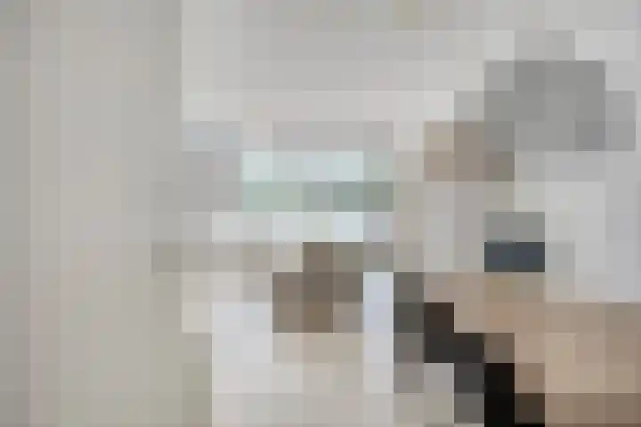 Anton Philipslaan 128 Eindhoven thumbnail 11