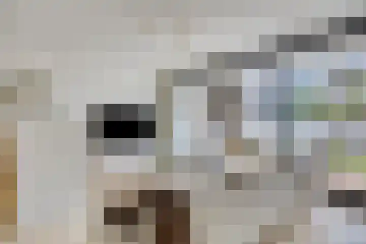 Anton Philipslaan 128 Eindhoven thumbnail 12