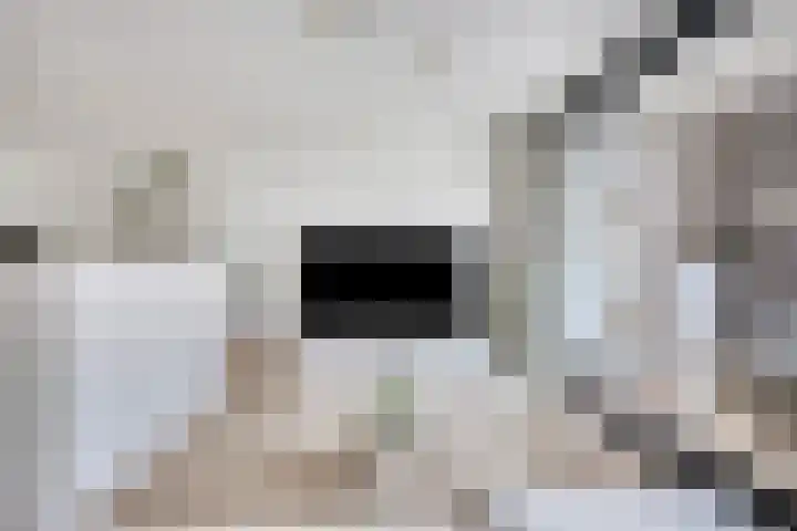 Anton Philipslaan 128 Eindhoven thumbnail 13