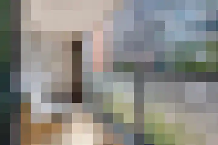 Anton Philipslaan 128 Eindhoven thumbnail 15