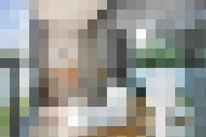 Anton Philipslaan 128 Eindhoven thumbnail 16