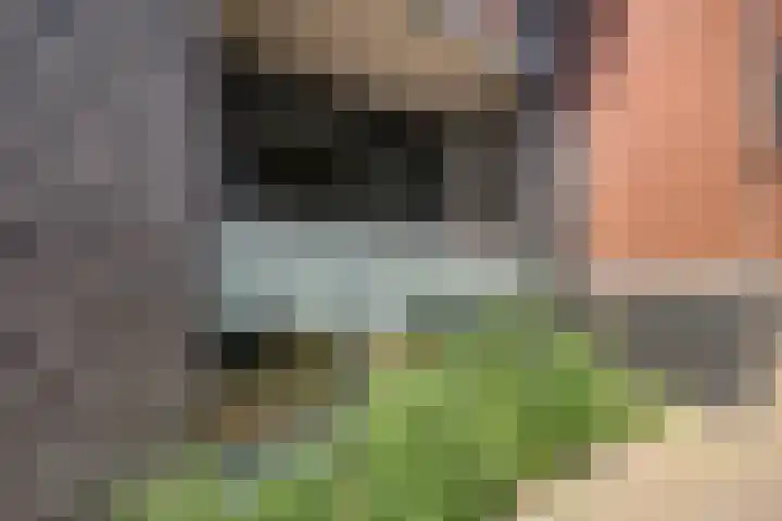 Anton Philipslaan 128 Eindhoven thumbnail 17