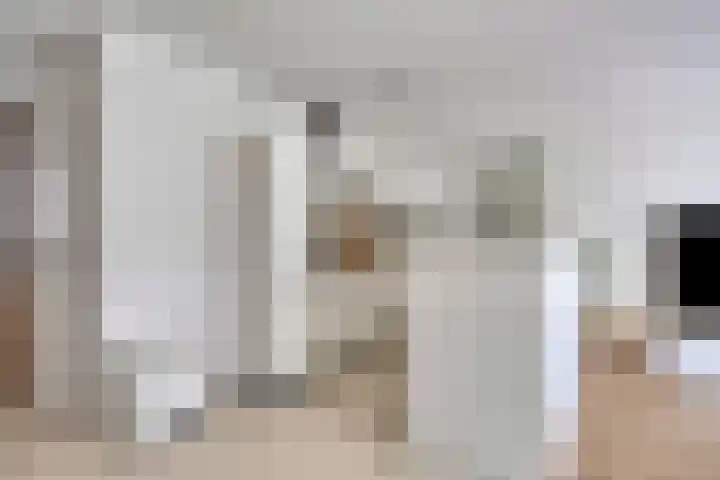 Anton Philipslaan 128 Eindhoven thumbnail 20