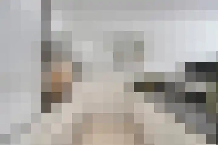 Anton Philipslaan 128 Eindhoven thumbnail 21