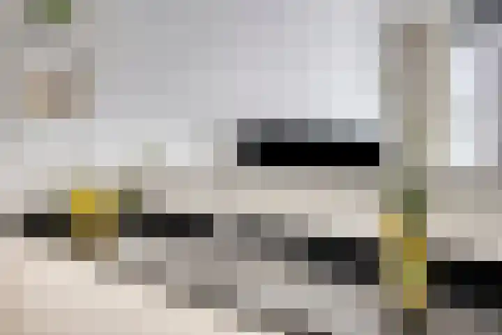 Anton Philipslaan 128 Eindhoven thumbnail 22