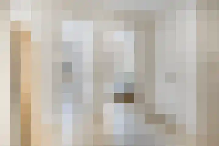Anton Philipslaan 128 Eindhoven thumbnail 24