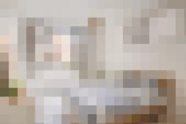 Anton Philipslaan 128 Eindhoven thumbnail 25