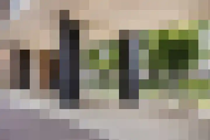 Anton Philipslaan 128 Eindhoven thumbnail 34