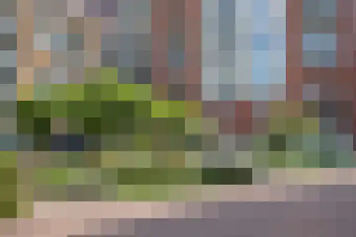 Anton Philipslaan 128 Eindhoven thumbnail 35