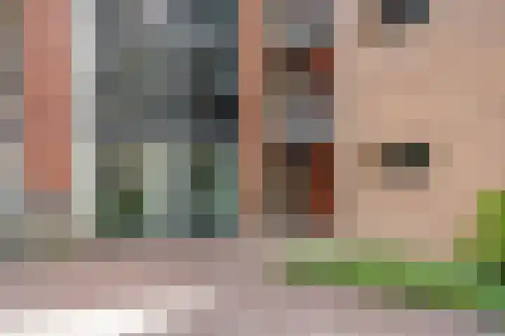 Anton Philipslaan 128 Eindhoven thumbnail 36