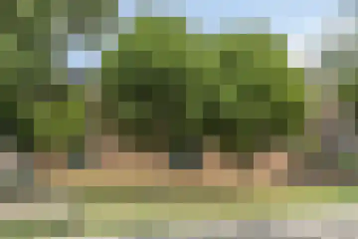 Anton Philipslaan 128 Eindhoven thumbnail 37