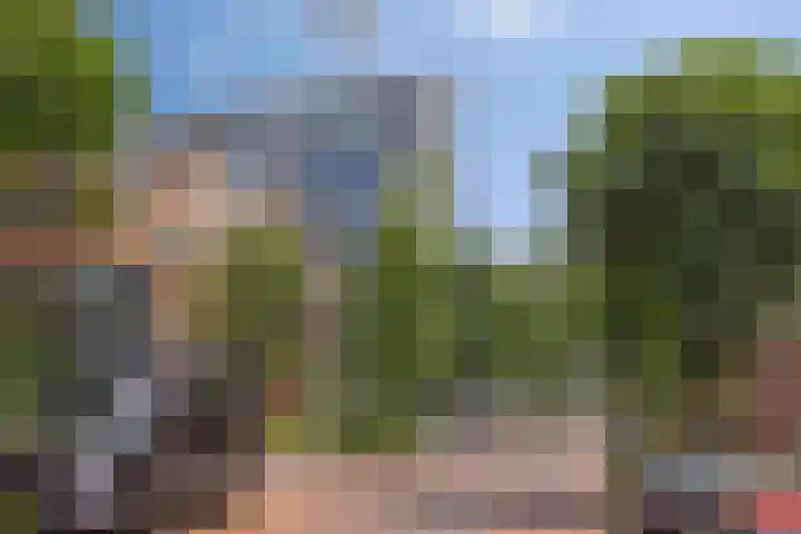 Anton Philipslaan 128 Eindhoven thumbnail 38
