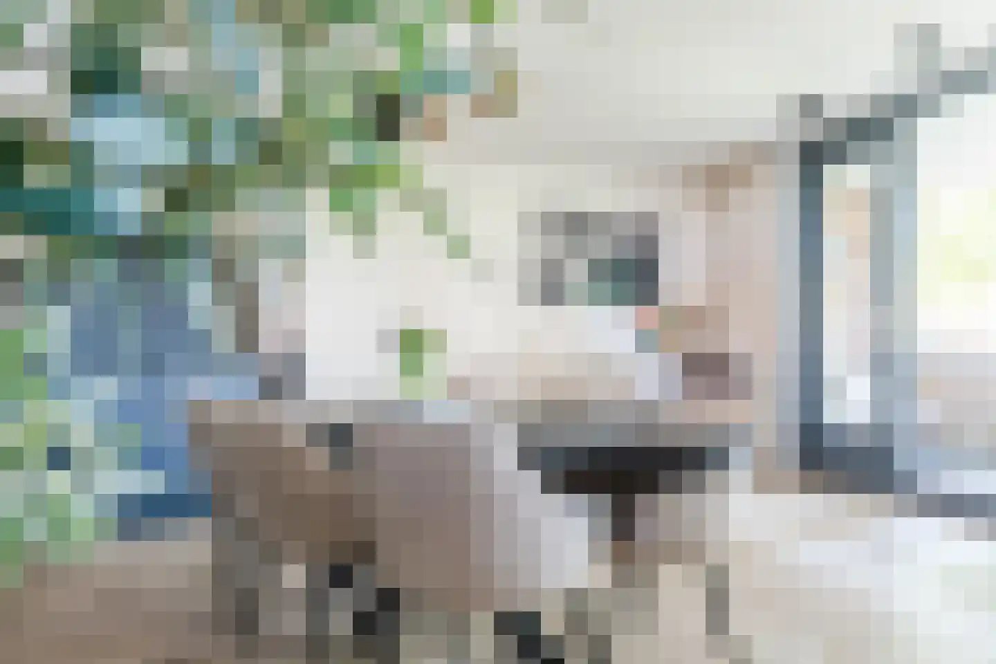 Anton Philipslaan 130 Eindhoven thumbnail 11