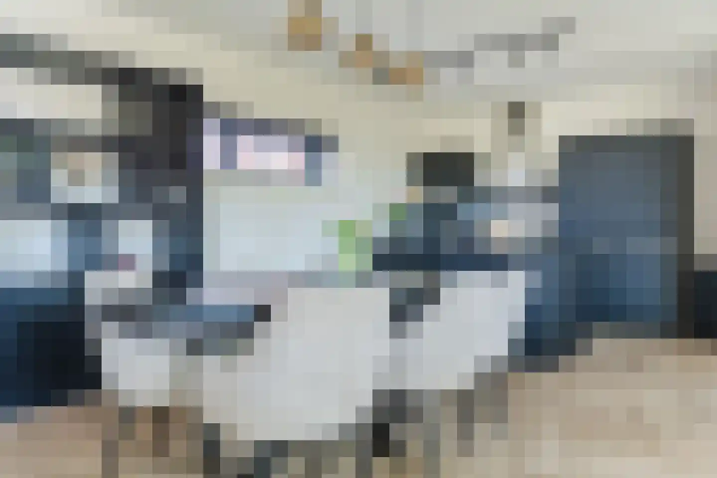 Anton Philipslaan 130 Eindhoven thumbnail 13