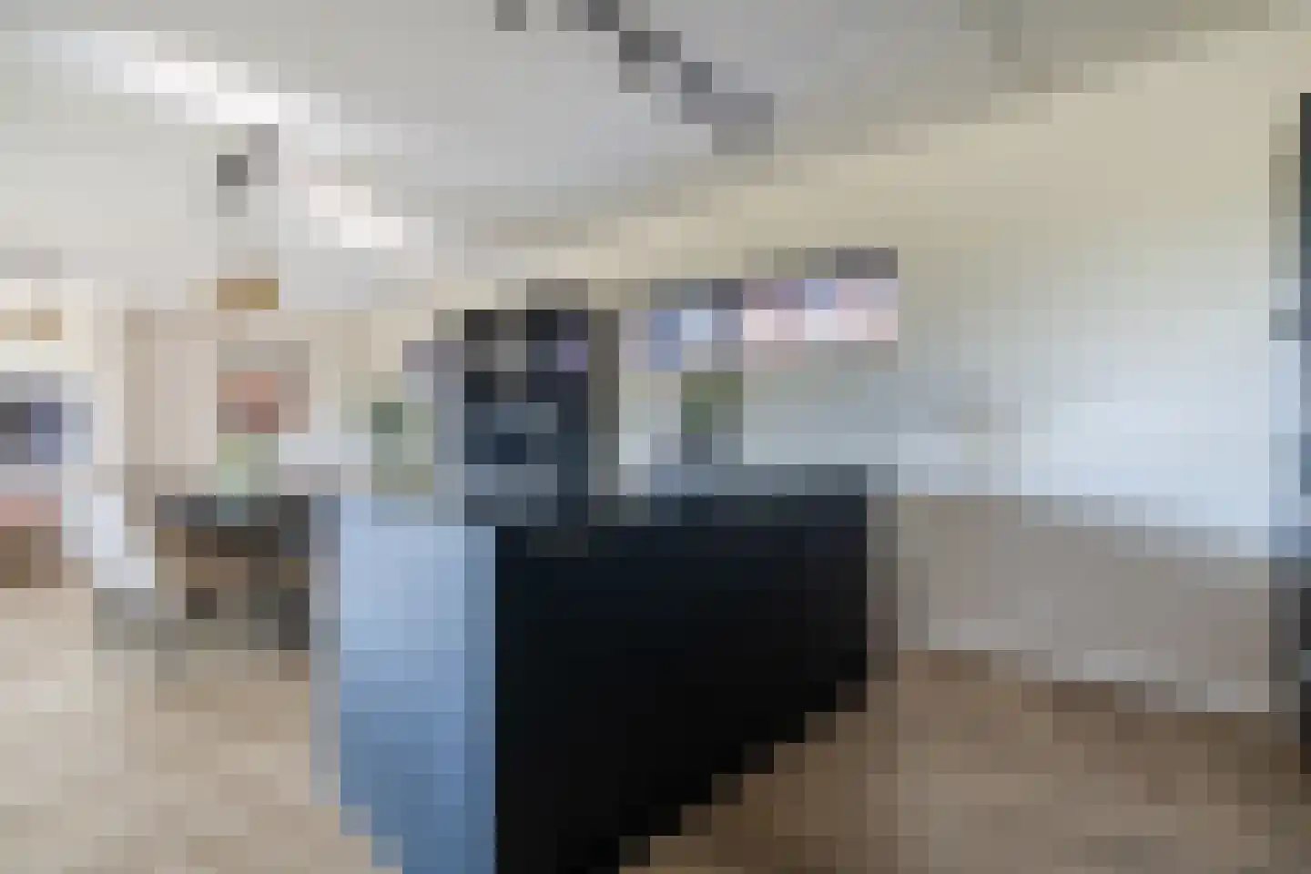 Anton Philipslaan 130 Eindhoven thumbnail 19