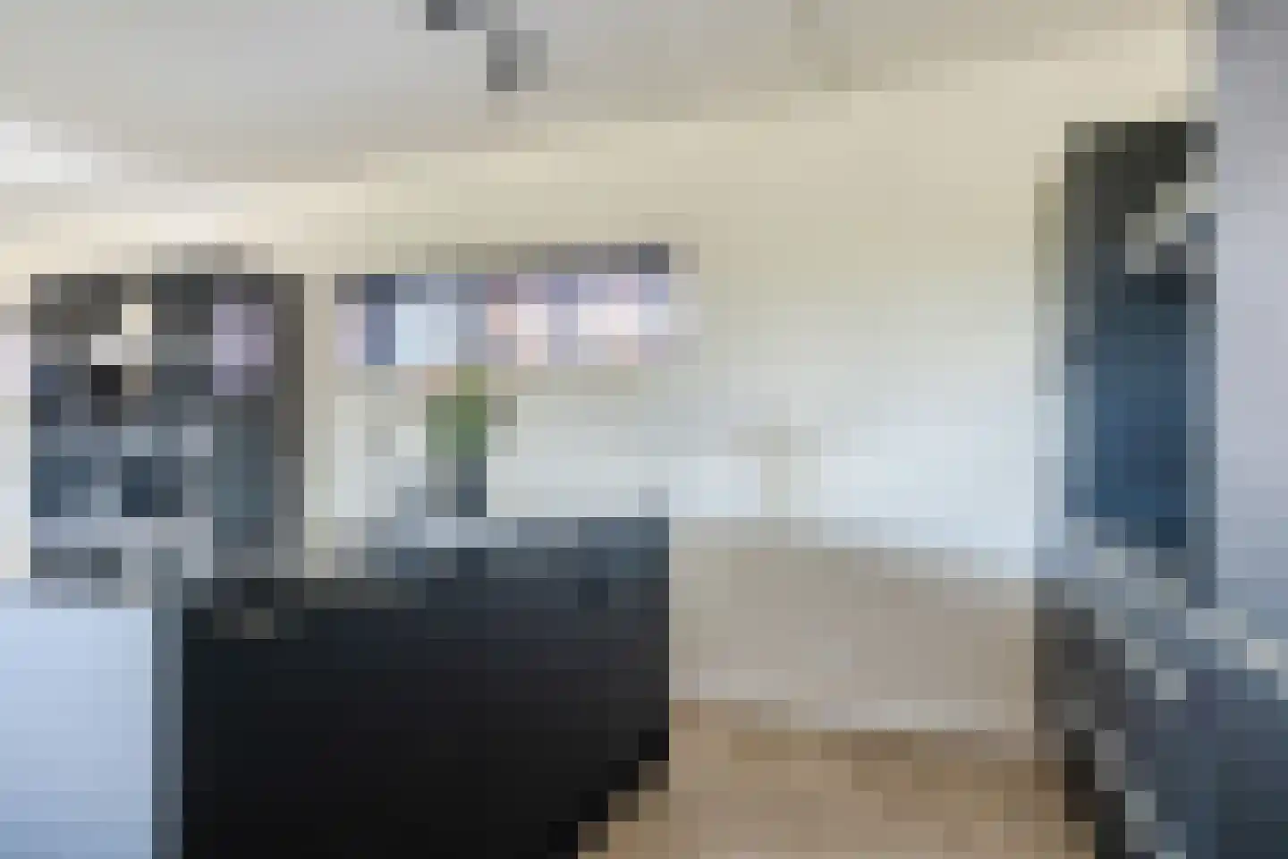 Anton Philipslaan 130 Eindhoven thumbnail 20