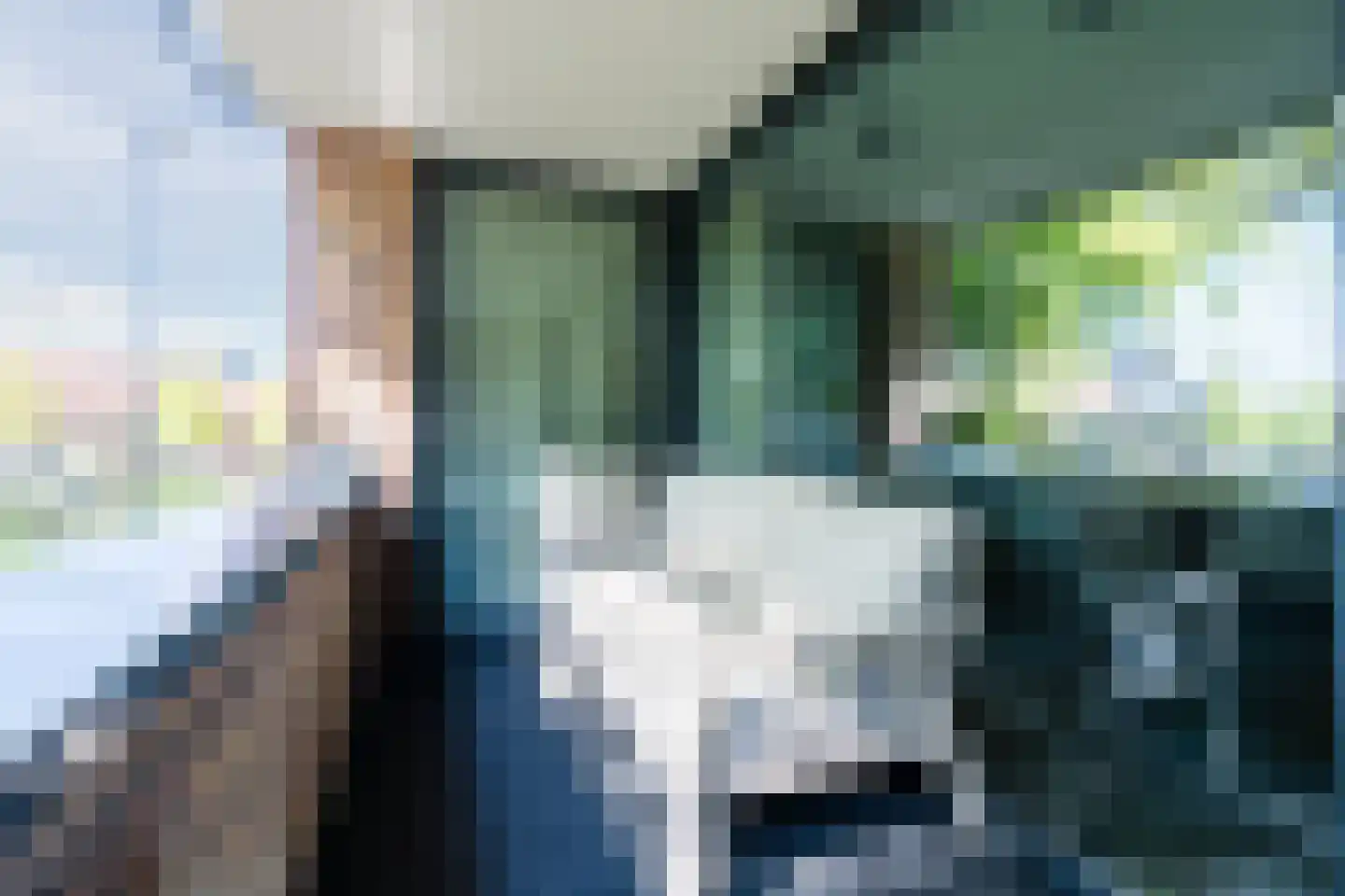 Anton Philipslaan 130 Eindhoven thumbnail 24