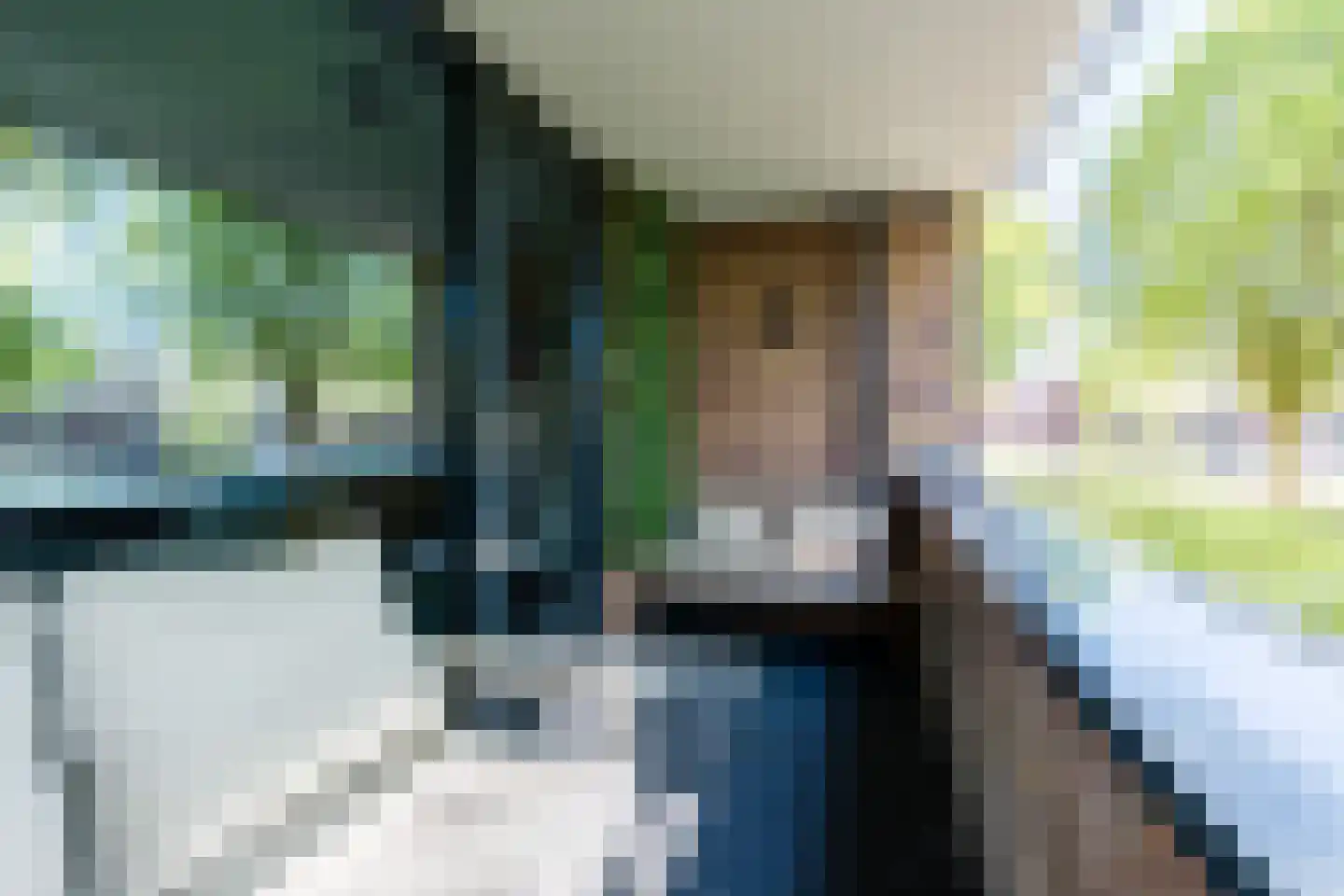 Anton Philipslaan 130 Eindhoven thumbnail 28