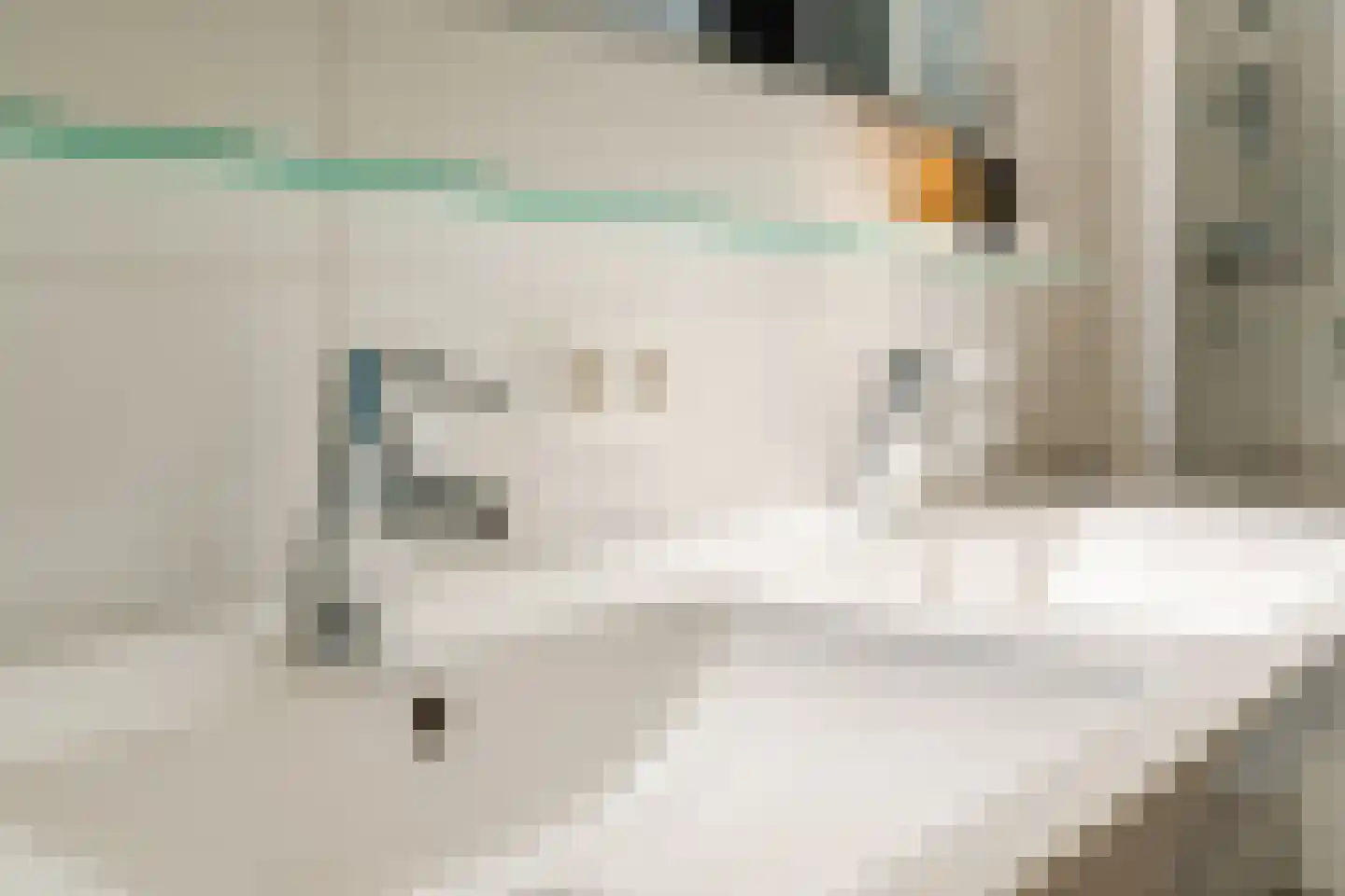 Anton Philipslaan 130 Eindhoven thumbnail 34