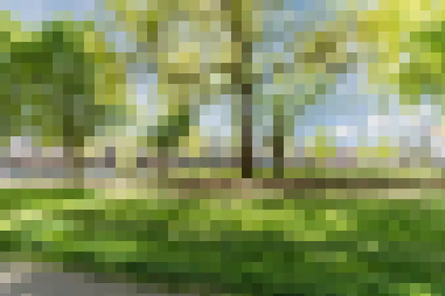 Anton Philipslaan 130 Eindhoven thumbnail 57