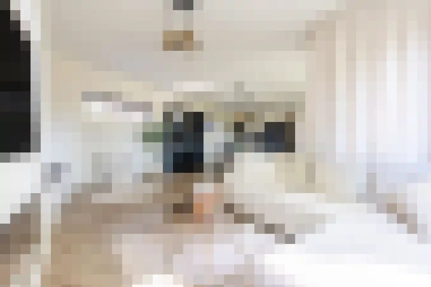 Anton Philipslaan 130 Eindhoven thumbnail 8