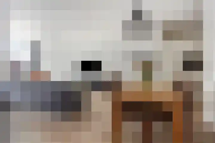 Anton Philipslaan 146 Eindhoven thumbnail 14