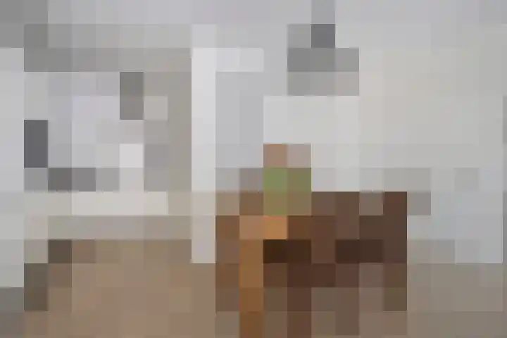 Anton Philipslaan 146 Eindhoven thumbnail 19
