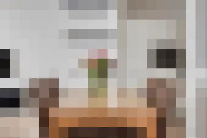 Anton Philipslaan 146 Eindhoven thumbnail 20