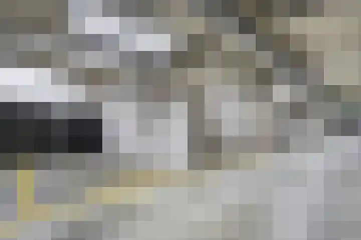 Anton Philipslaan 146 Eindhoven thumbnail 31