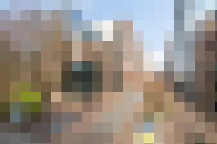 Anton Philipslaan 146 Eindhoven thumbnail 32