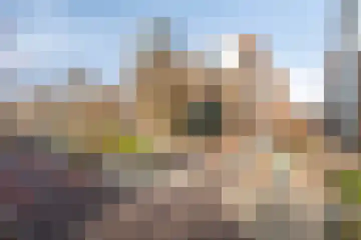 Anton Philipslaan 146 Eindhoven thumbnail 33
