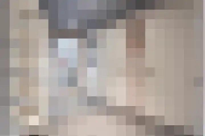 Anton Philipslaan 150 Eindhoven thumbnail 10
