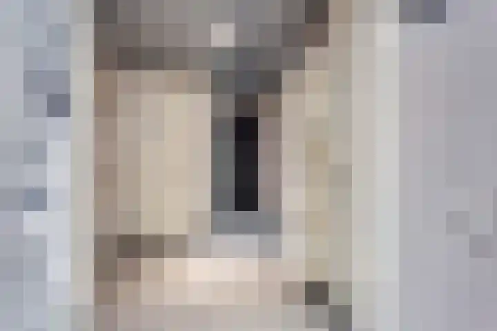Anton Philipslaan 150 Eindhoven thumbnail 12