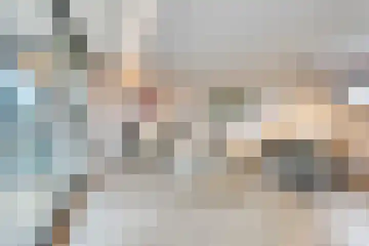 Anton Philipslaan 150 Eindhoven thumbnail 13