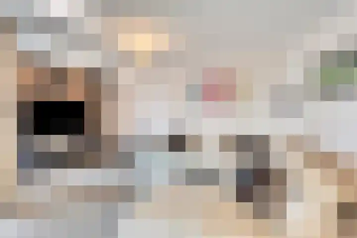 Anton Philipslaan 150 Eindhoven thumbnail 14