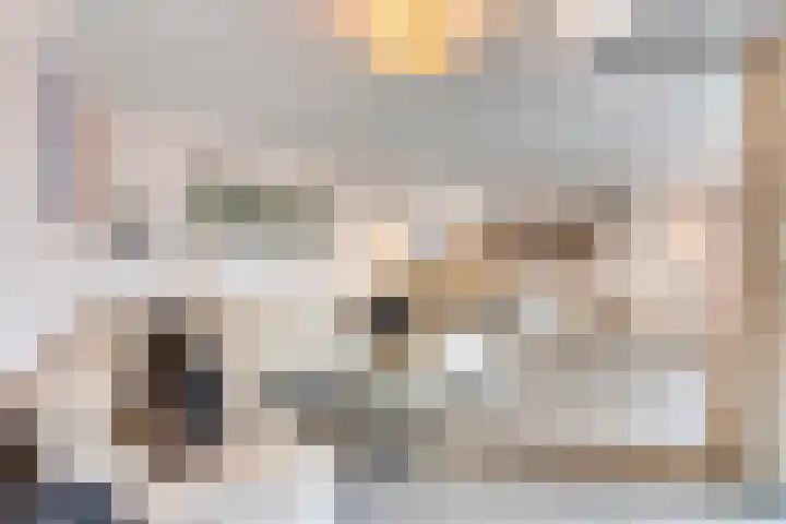 Anton Philipslaan 150 Eindhoven thumbnail 15