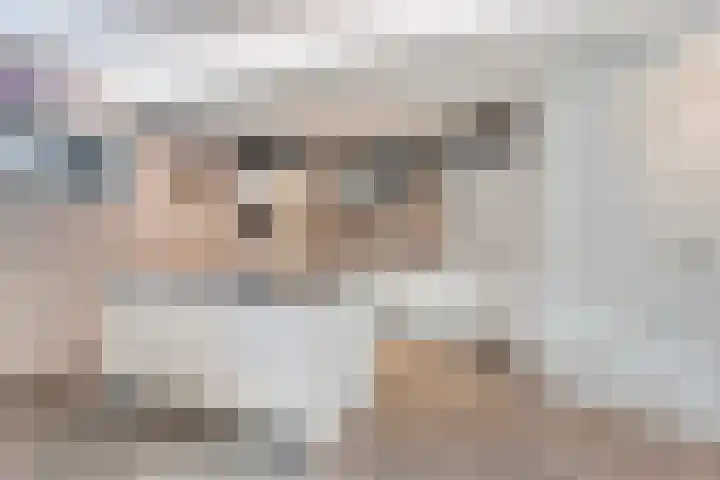 Anton Philipslaan 150 Eindhoven thumbnail 17
