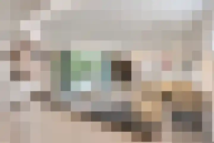 Anton Philipslaan 150 Eindhoven thumbnail 18